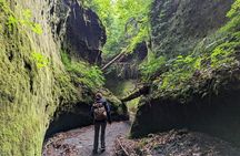 Private Day Trip of Lake Shikotsu and Moss Canyon