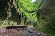Private Day Trip of Lake Shikotsu and Moss Canyon