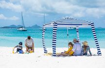 Whitehaven Beach Morning or Afternoon Tour