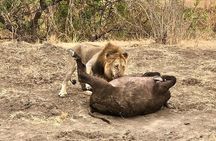 Private 3 Days 2 Nights Mikumi Adventures