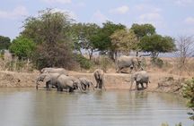 Private 3 Days 2 Nights Mikumi Adventures
