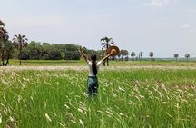 Kissama National Park Safari 