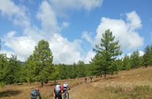 11 Day World Heritage Orkhon Valley National Park Cycling Tour