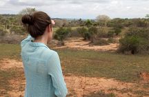 Kissama National Park Safari 