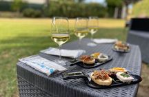 Guided E-Bike tour with food and wine tasting.