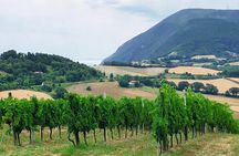 Guided E-Bike tour with food and wine tasting.