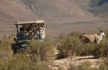 Aquila Game Reserve Big Five Safari Tour