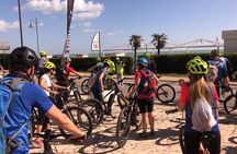 Guided E-Bike tour with food and wine tasting.