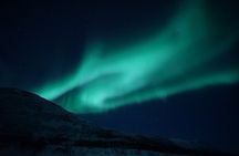 Tromsø: Evening Cruise with Northern Lights Opportunity