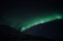 Tromsø: Evening Cruise with Northern Lights Opportunity