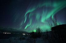 Tromsø: Evening Cruise with Northern Lights Opportunity