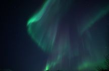 Tromsø: Evening Aurora Cruise