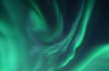Tromsø: Evening Aurora Cruise