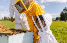 Small-Group Beekeeping Experience in Tauherenikau