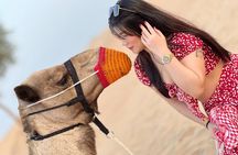 Dubai: Evening Desert Safari, Camel Ride, Shows & BBQ Dinner