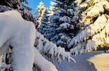 Half-Day Hiking with Private Mountain Guide in the Seven Rila Lakes