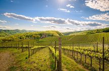 Wine tasting in TWO family wineries around Florence