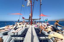Exclusive Freebird Catamaran Whale and Dolphin Cruise to Caleta