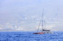 Exclusive Freebird Catamaran Whale and Dolphin Cruise to Caleta