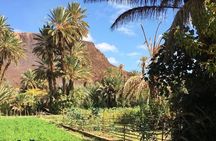 Half-Day Todra Gorges Hike