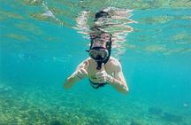 Half-Day Dolphin Watching and Snorkeling in Samara