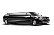 Deluxe Private tour by stretch limousine, choose 3 or 5 hour tour