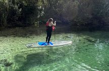 Weeki Wachee Clear Paddle Board Ecotours