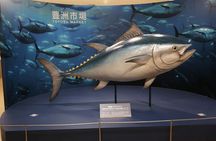 Complete Tuna Auction & Toyosu Fish Market Tour