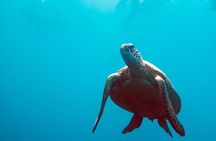 3 Day & 2 Night Whitsunday Islands Maxi Sailing Adventure
