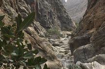 Wadi Shab and Bimmah Sinkhole Full Day Tour