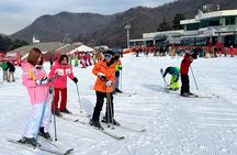 Jisan Ski Resort from Seoul by Shuttle (Optional Ski package)