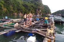 2-Day cruise to Lan Ha bay - Ha Long bay and Viet Hai Village 