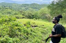 Bush Hiking to explore Wild Plants & Fresh Fruits,Montego Bay