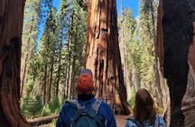 Private Guided Hiking Tour - Sequoia National Park
