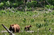 Private Guided Hiking Tour - Sequoia National Park