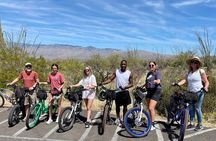 Saguaro National Park East E-Bike Tour