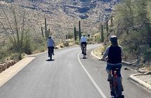 Saguaro National Park East E-Bike Tour