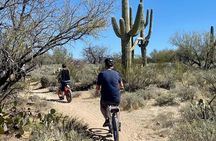 Saguaro National Park East E-Bike Tour