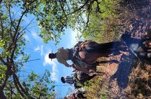 Ride through the amazing landscapes of Salta - 5 days 4 nights