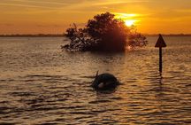 Sunset Cruise on the Beautiful Banana River