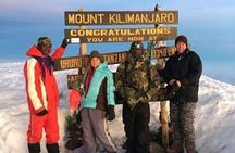 Mountain Kilimanjaro Climbing 7 Days Lemosho Route