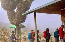 Mountain Kilimanjaro Climbing 7 Days Machame Route