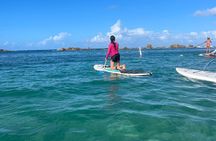 1-Hour Paddle Board in Condado Lagoon