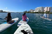 1-Hour Paddle Board in Condado Lagoon