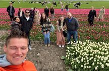 Amsterdam: Tulip Fields Day Tour with Lunch and a Windmill Visit
