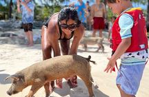 Bahamas Swimming Pigs Experience on Rose Island 