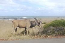 South to North West Rural Tour 
