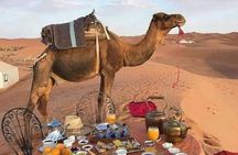Desert tour from marrakech