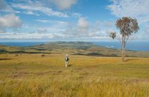 6-Day Private Easter Island Archaeology and Hiking Adventure