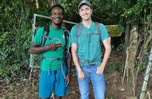 Hike St. Kitts: Highest peak Mount Liamuiga Volcano 